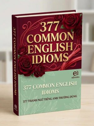 377 Common English Idioms