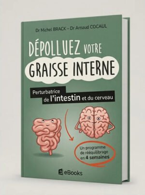 Dépolluez votre graisse interne