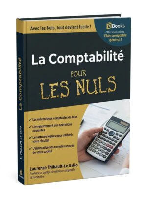 La comptabilité pour les nuls