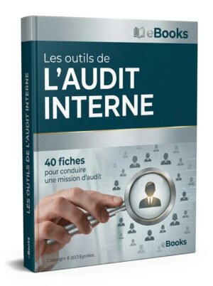 Les outils de laudit interne 40 fiches pour co…